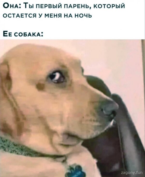 Смешная картинка