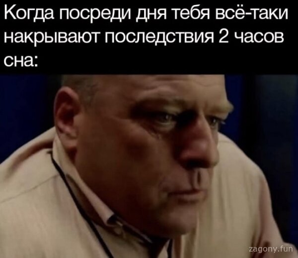 Смешная картинка