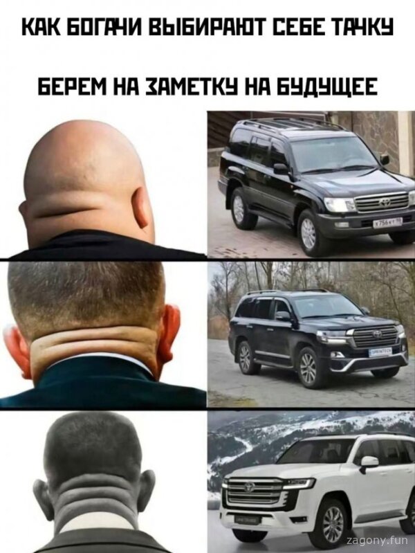 Смешная картинка