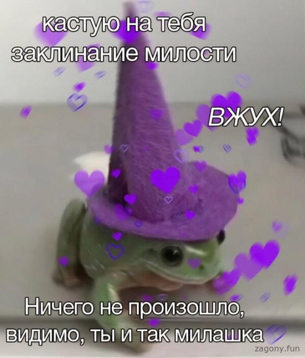 Смешная картинка