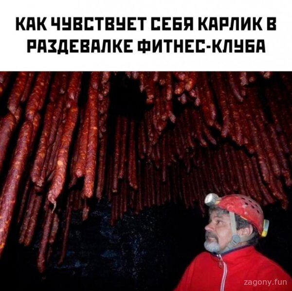 Смешная картинка