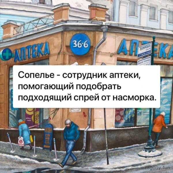 Смешная картинка