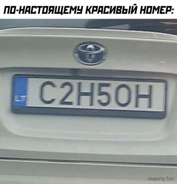 Смешная картинка