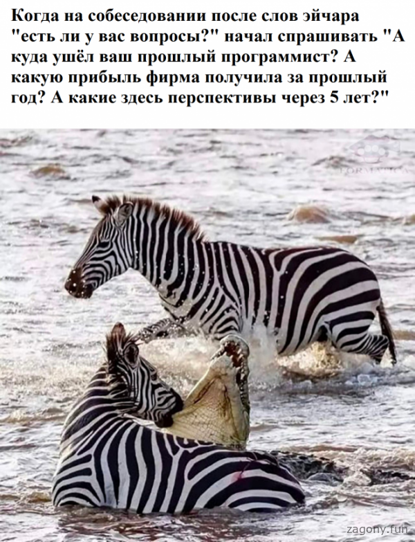 Смешная картинка