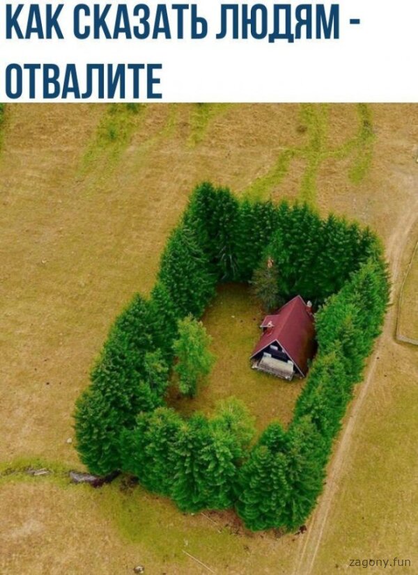 Смешная картинка