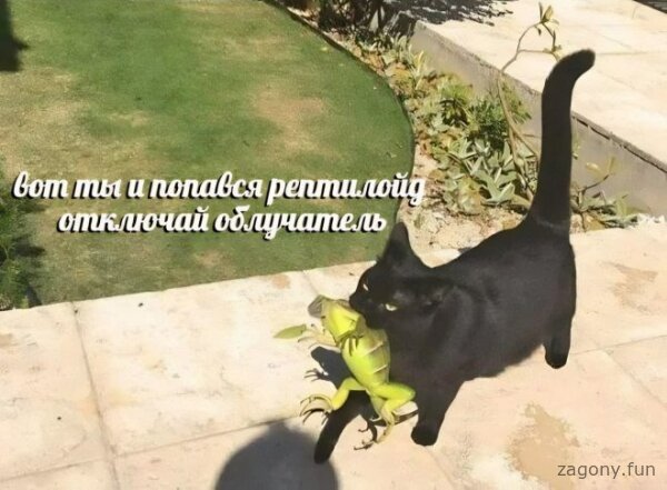 Смешная картинка