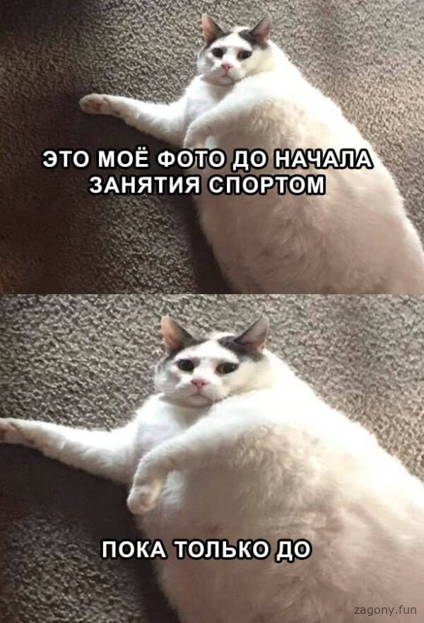 Смешная картинка