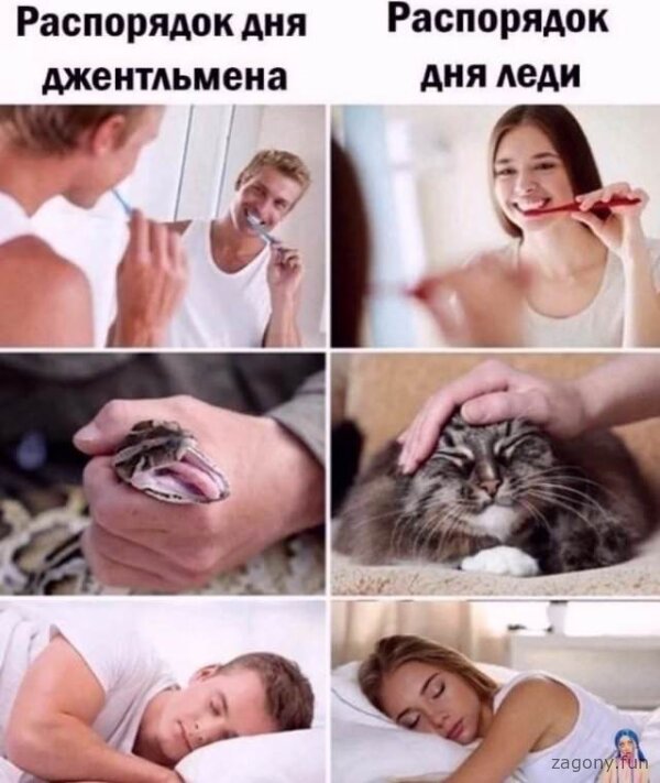 Смешная картинка