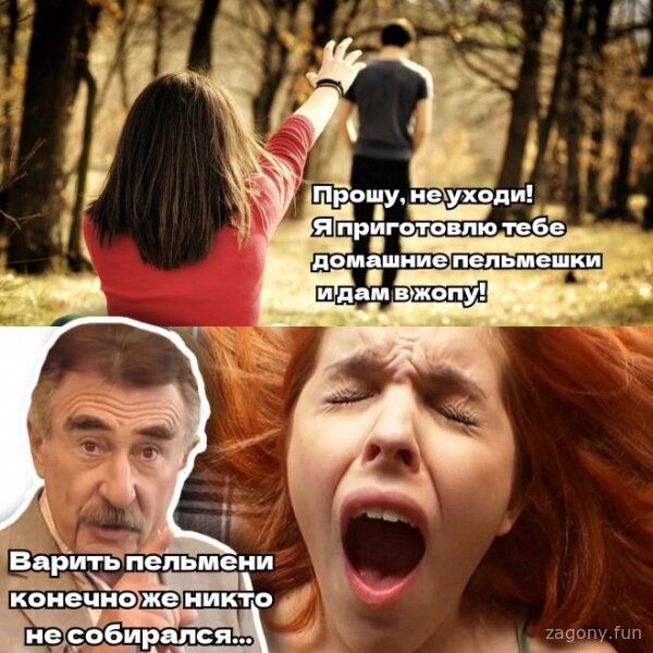 Смешная картинка