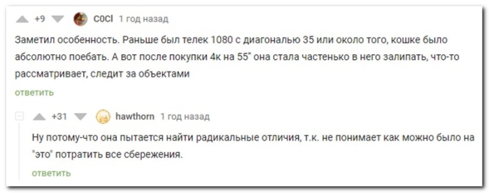 Смешной коммент из соцсети