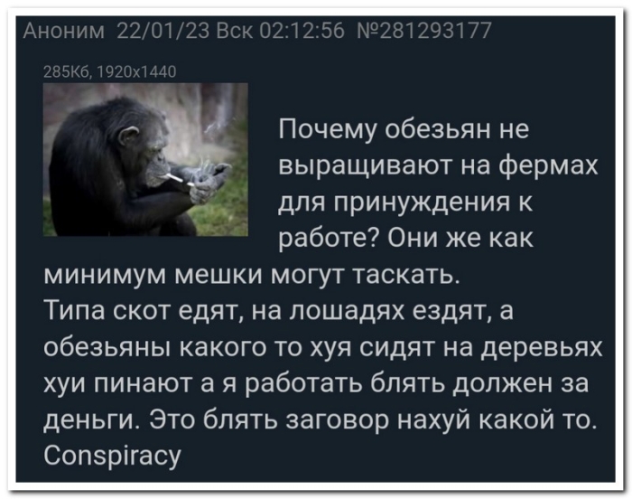 Смешной коммент из соцсети