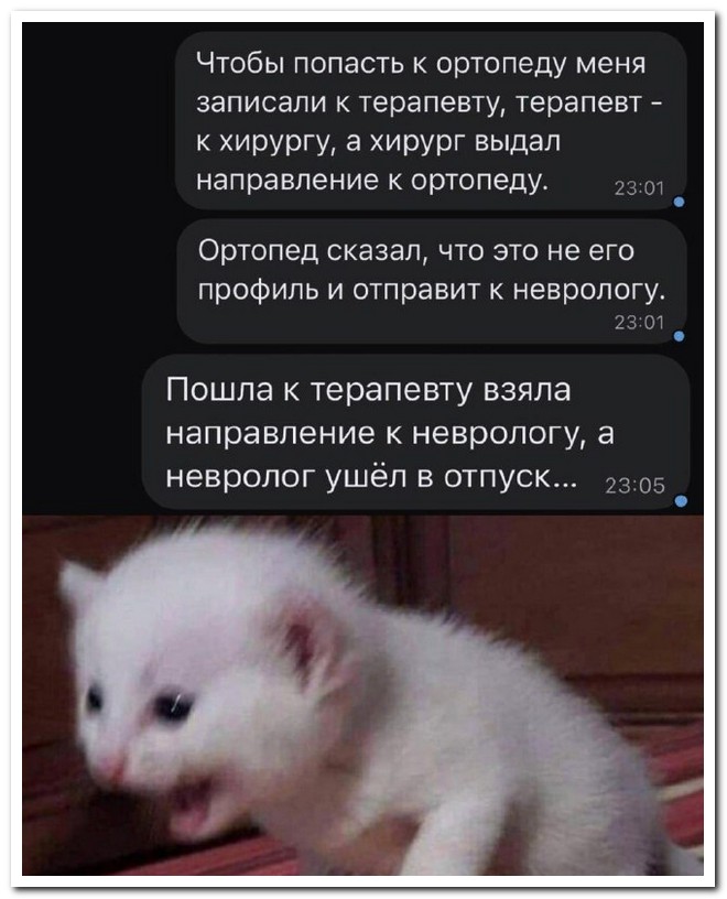 Смешной коммент из соцсети