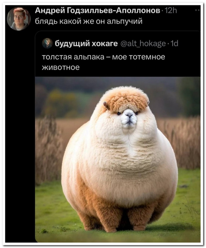 Смешной коммент из соцсети